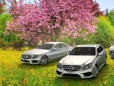 Mercedes Benz Dealer in Long Island New York